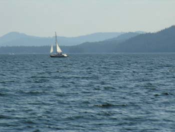 Priest Lake Area Photographs (1066)