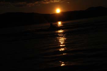 Priest Lake Area Photographs (109)
