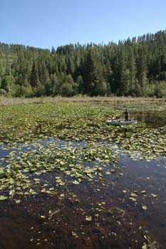 Priest Lake Area Photographs (11)