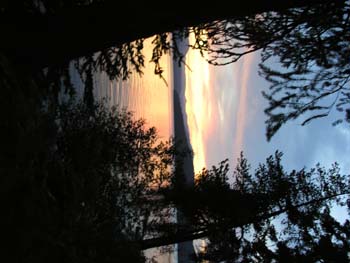 Priest Lake Area Photographs (1121)