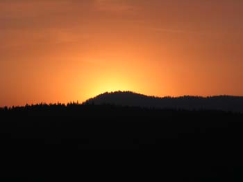 Priest Lake Area Photographs (1127)