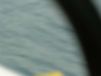 Priest Lake Area Photographs (1215)