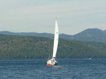 Priest Lake Area Photographs (1254)