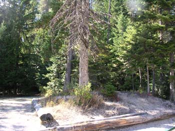 Priest Lake Area Photographs (1291)