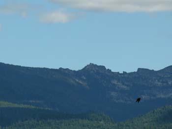 Priest Lake Area Photographs (1299)