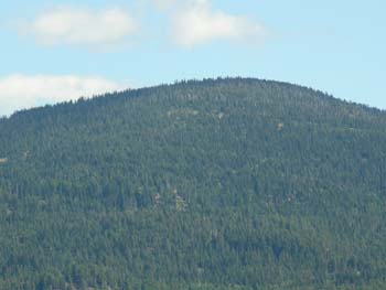 Priest Lake Area Photographs (1303)