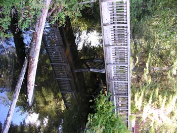 Priest Lake Area Photographs (1312)