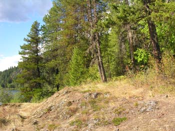 Priest Lake Area Photographs (1341)