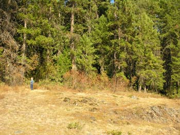 Priest Lake Area Photographs (1344)