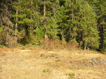 Priest Lake Area Photographs (1345)