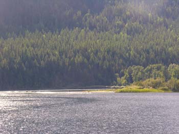 Priest Lake Area Photographs (1350)