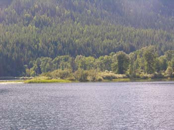 Priest Lake Area Photographs (1351)
