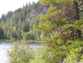Priest Lake Area Photographs (1362)