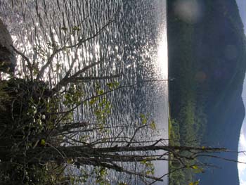 Priest Lake Area Photographs (1366)
