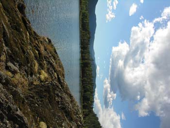 Priest Lake Area Photographs (1388)