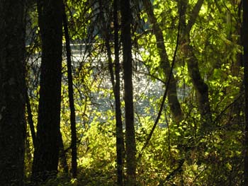 Priest Lake Area Photographs (1390)