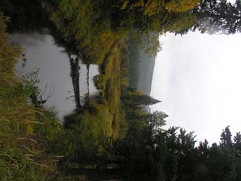 Priest Lake Area Photographs (1402)