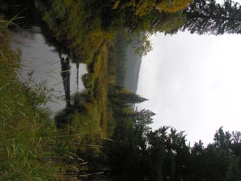 Priest Lake Area Photographs (1405)