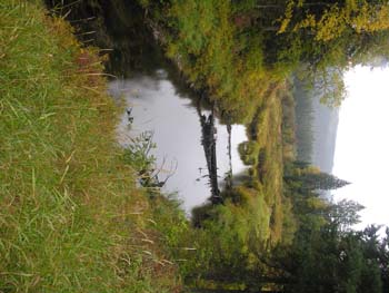 Priest Lake Area Photographs (1406)
