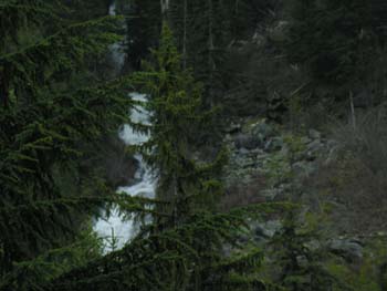 Priest Lake Area Photographs (202)