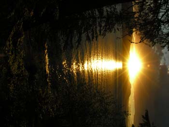Priest Lake Area Photographs (207)