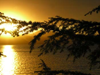 Priest Lake Area Photographs (215)