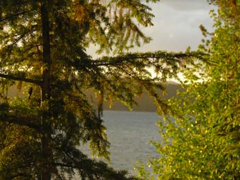Priest Lake Area Photographs (218)