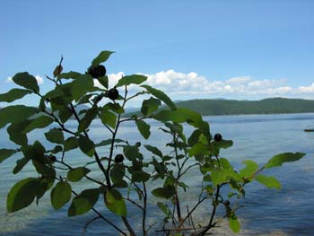 Priest Lake Area Photographs (295)