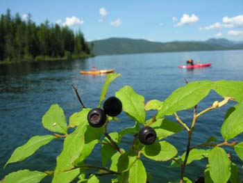 Priest Lake Area Photographs (297)