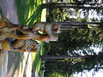 Priest Lake Area Photographs (334)