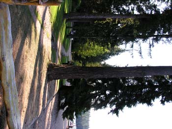Priest Lake Area Photographs (335)