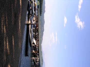 Priest Lake Area Photographs (337)