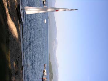 Priest Lake Area Photographs (339)