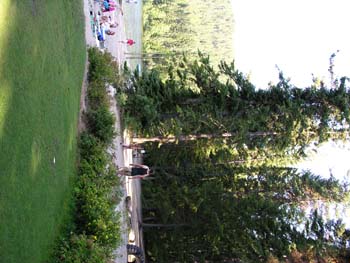 Priest Lake Area Photographs (342)