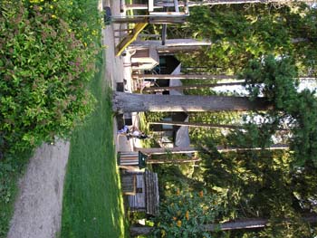Priest Lake Area Photographs (344)
