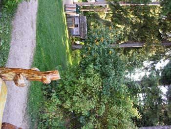 Priest Lake Area Photographs (345)