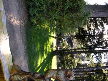 Priest Lake Area Photographs (347)