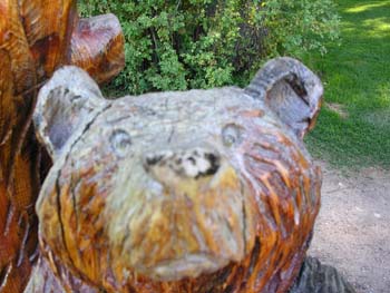 Priest Lake Area Photographs (355)