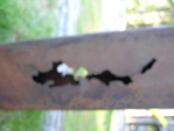 Priest Lake Area Photographs (358)