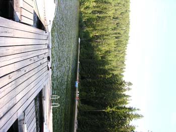 Priest Lake Area Photographs (361)
