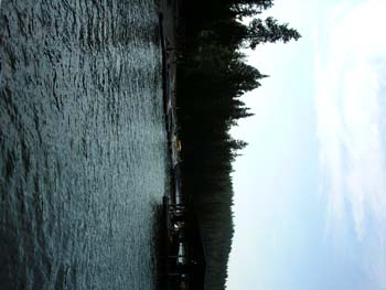 Priest Lake Area Photographs (367)