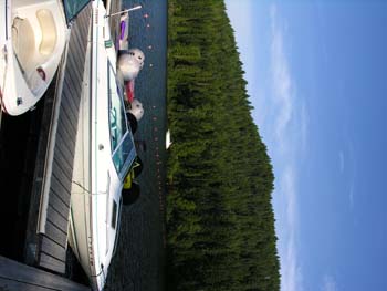 Priest Lake Area Photographs (374)