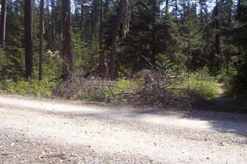 Priest Lake Area Photographs (4)