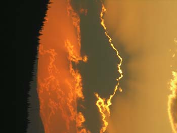 Priest Lake Area Photographs (424)