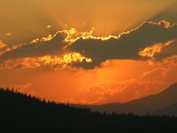 Priest Lake Area Photographs (436)