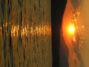 Priest Lake Area Photographs (447)