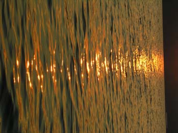 Priest Lake Area Photographs (448)
