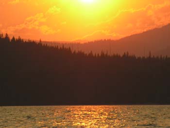 Priest Lake Area Photographs (450)