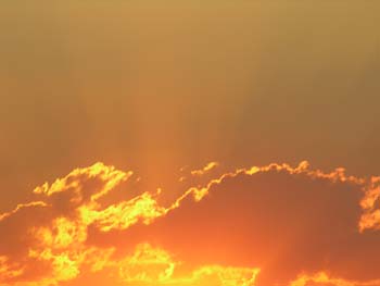 Priest Lake Area Photographs (476)