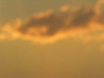 Priest Lake Area Photographs (477)